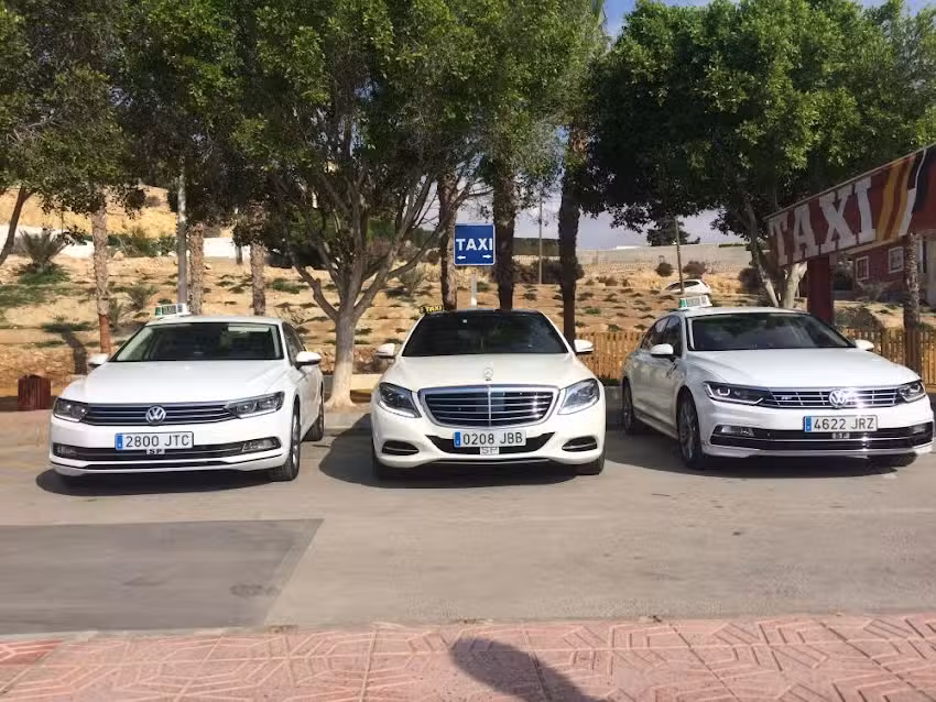 TAXI MAZARR&Oacute;N (TELETAXI MAZARRON)