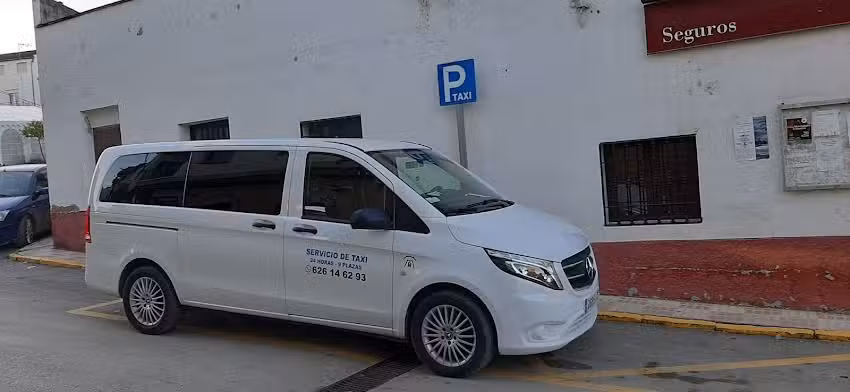 TAXI MOISES MARTINEZ FERNANDEZ