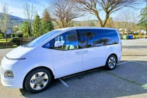 TAXI MOLINASECA LUIS &ndash; (9 y 5 Plazas)