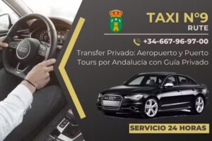 Taxi n9 rute