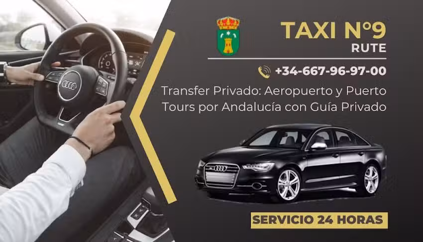 Taxi n9 rute