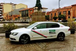 Taxi Natanael Pe&ntilde;asco Almeida