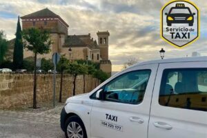 TAXI OSUNA Francisco Lucas