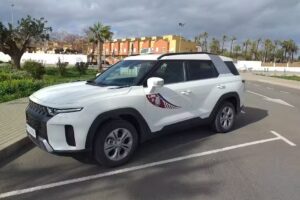 Taxi Paco Mart&iacute;nez