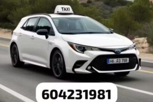 Taxi Palmones Los Barrios