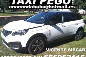 Taxi Pego Vicente