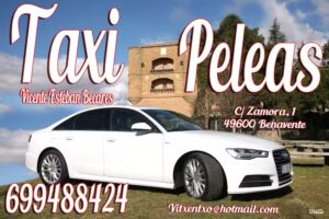 TAXI PELEAS 699488424