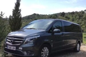 Taxi Periana número 4