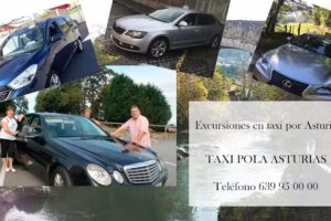 Taxi Pola Asturias