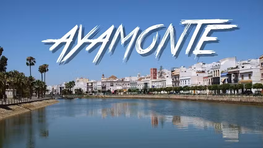 Taxi P&uacute;blico y Privado