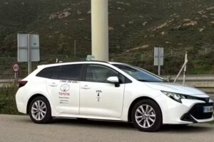 Taxi Punta Umbr&iacute;a Luis