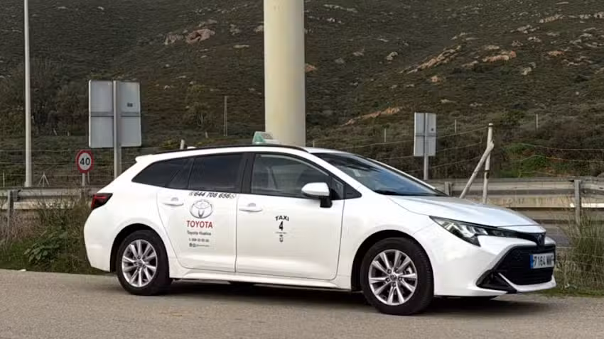 Taxi Punta Umbr&iacute;a Luis