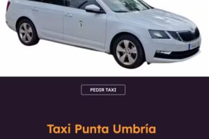 Taxi Punta Umbr&iacute;a Servicios