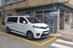 TAXI REY ( 7 Plazas )