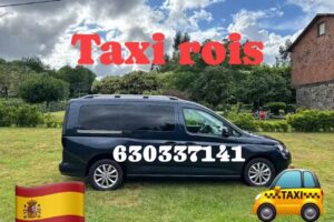 Taxi Rois