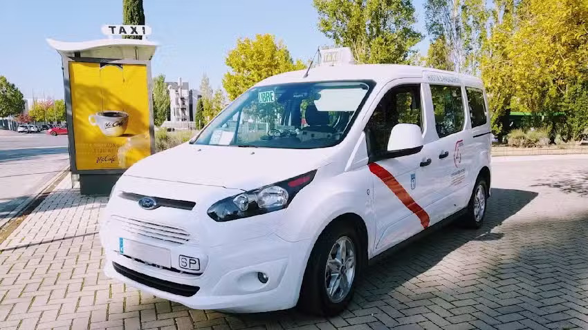 TAXI SAN MART&Iacute;N DE LA VEGA