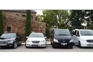 Taxi Sant Fruit&oacute;s