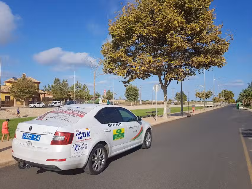 Taxi Services Mil Palmeras