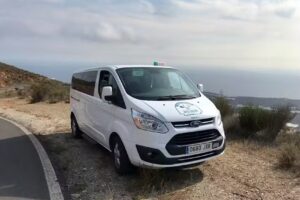 TAXI TREV&Eacute;LEZ