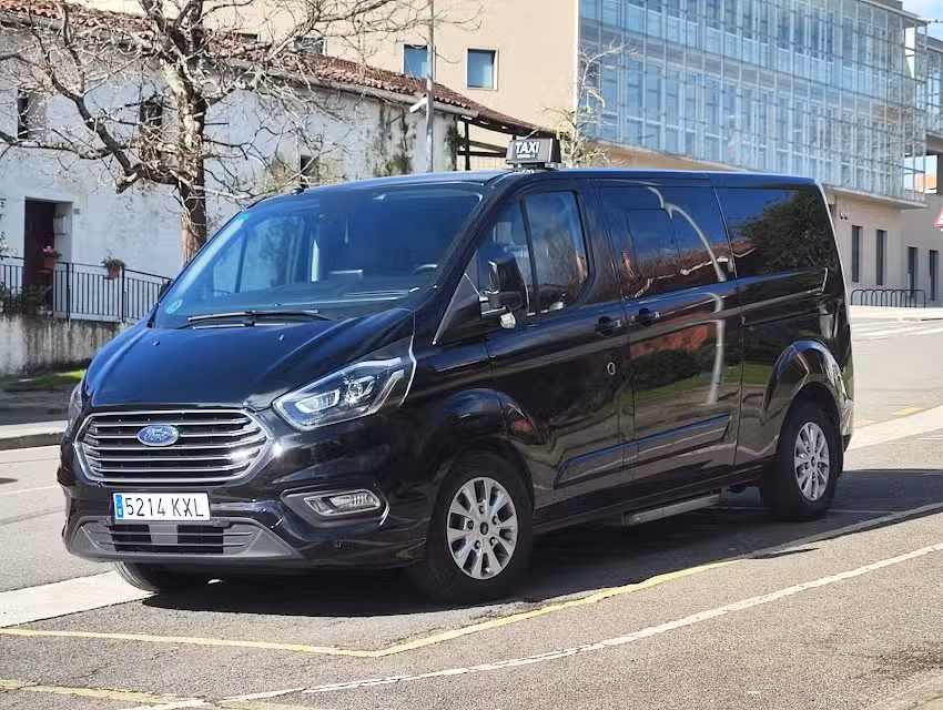 Taxi Usurbil, 8 plazas