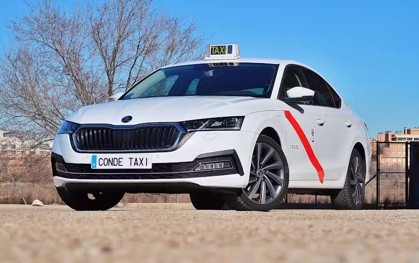 TAXI VALDEMORO Luis Gonz&aacute;lez