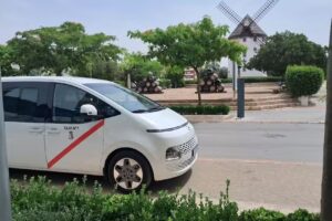 Taxi Valdepeñas Gabriel Alhambra 9 plazas