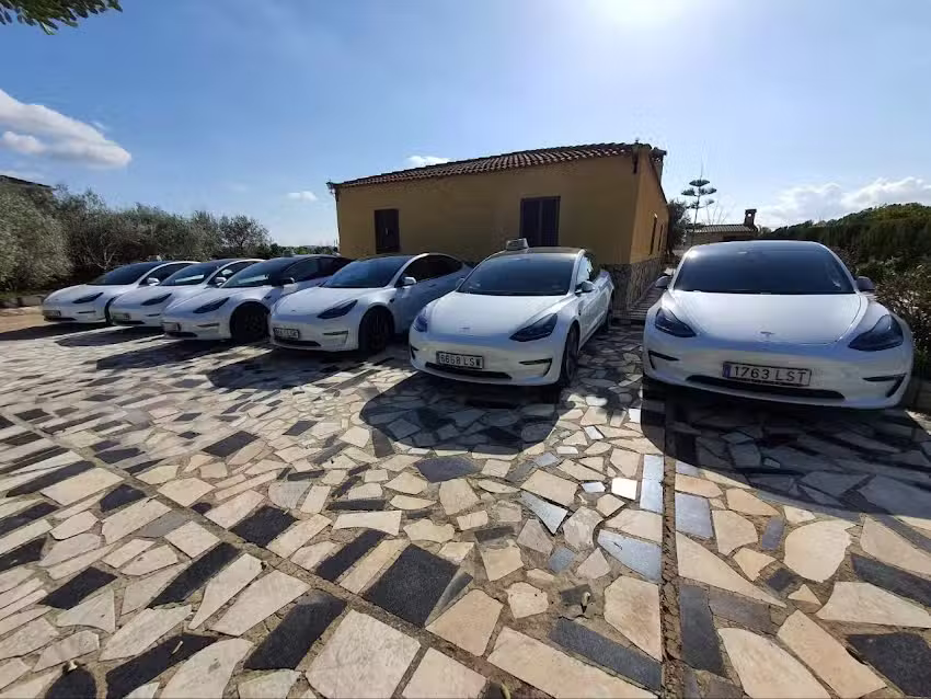 Taxi Valencia Tesla