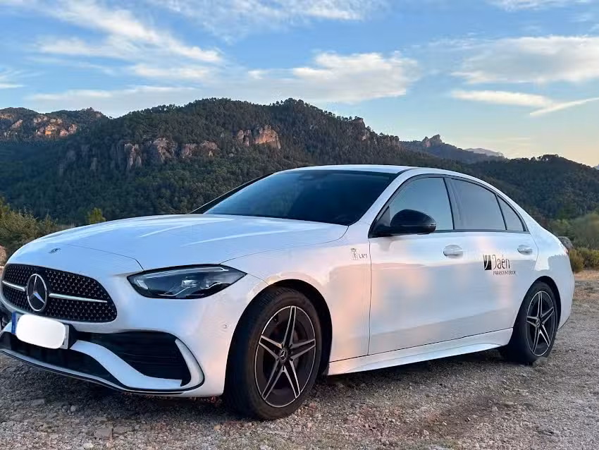 Taxi Valent&iacute;n &Aacute;lvarez L&oacute;pez