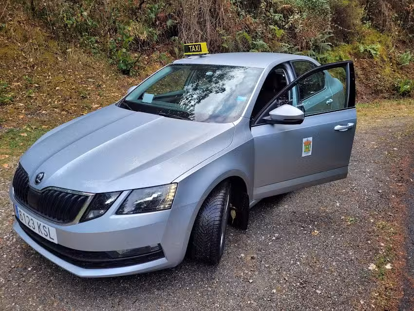 Taxi Victor Casasempere