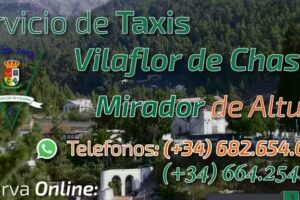 Taxi Vilaflor LM2 &ndash; Daniela Comini