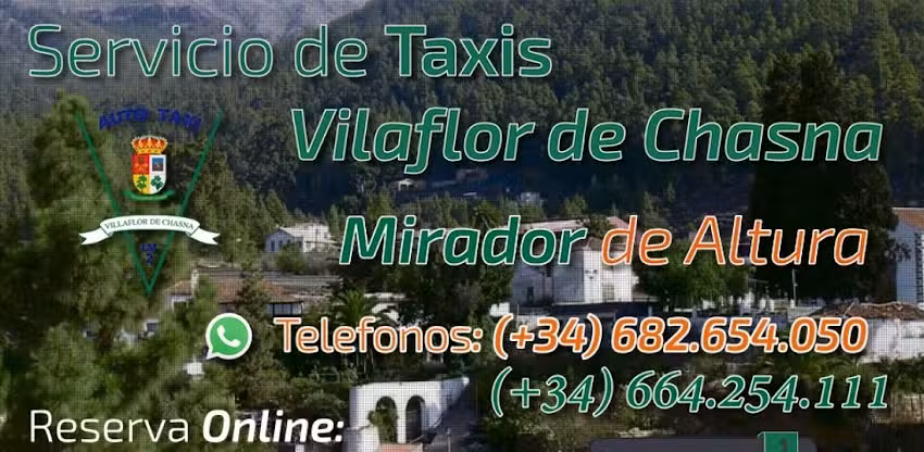 Taxi Vilaflor LM2 &ndash; Daniela Comini