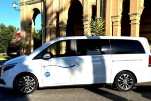 Taxi Vilanova Javier Mesa