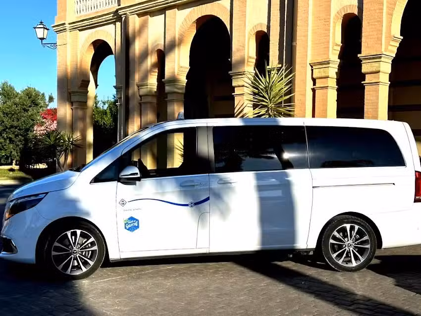 Taxi Vilanova Javier Mesa