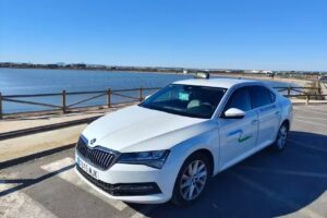 Taxi1 San Pedro Lo Pagan