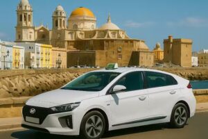 TaxiC&aacute;diz.com & Domingo Mendiguren. Licencia 94