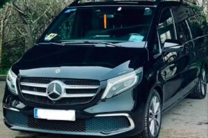 Taxis Alonso Ortuella