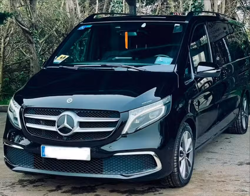 Taxis Alonso Ortuella