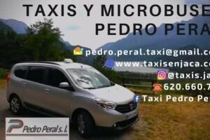 TAXIS EN JACA – Pedro Peral