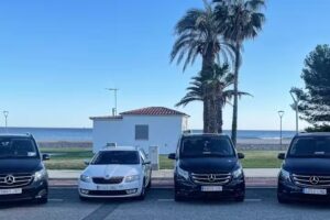 Taxis Gulin, Miami Platja