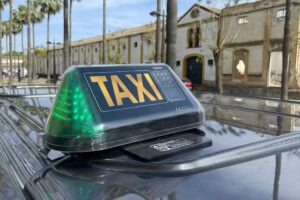 Taxis Mill&aacute;n (9 plazas)