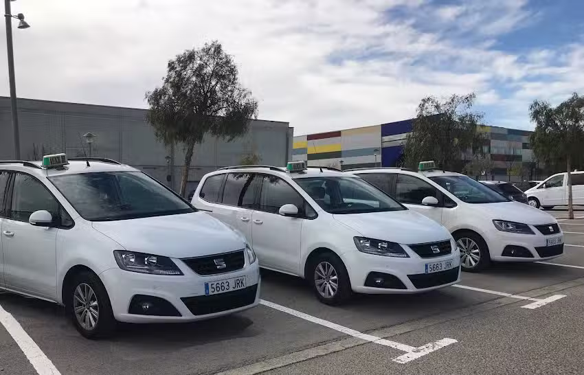 Taxis Palam&oacute;s