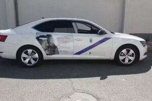 Taxis Rodríguez (Medina del Campo)