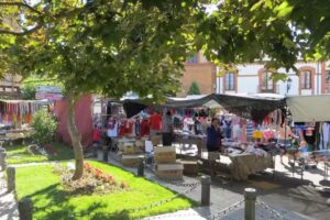 Taxis Salda&ntilde;a