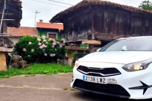 Taxis Vicente Moyano Anel