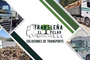 Transle&ntilde;a El Pelao