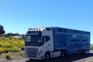 Transportes Agustín J, S.L