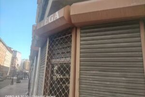 Transportes Alejandro Vega