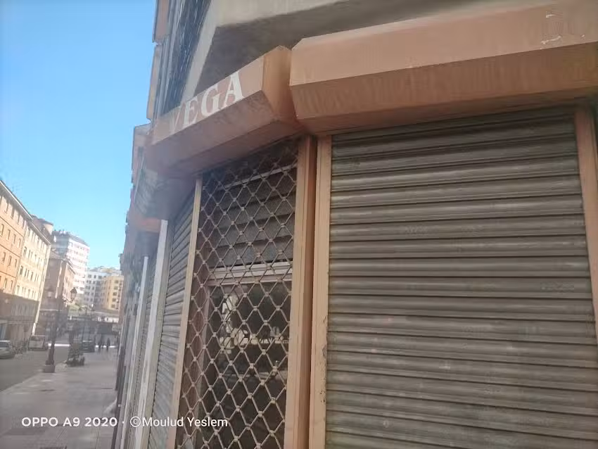 Transportes Alejandro Vega