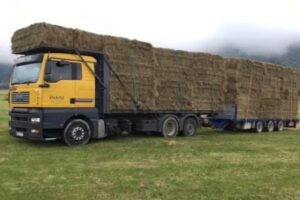 Transportes Isasi-Ibarrola