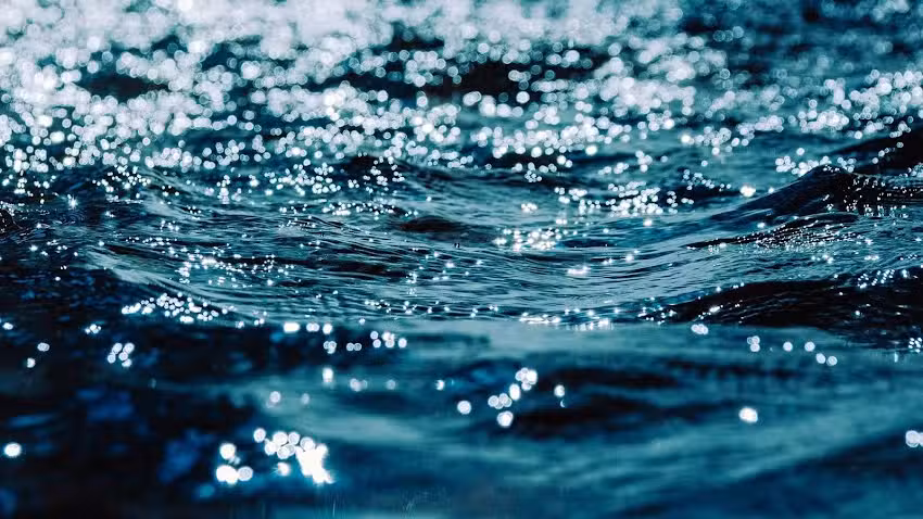 Transportes Reyn&eacute;s